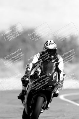 media/Nov-11-2023-SoCal Trackdays (Sat) [[efd63766ff]]/Track Exit (1130am until Lunch)/